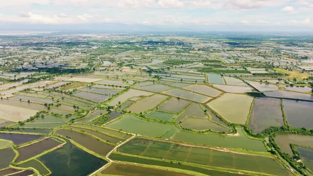 Vast geometric fish ponds spread across lowlands near Lingayen, Pangasinan