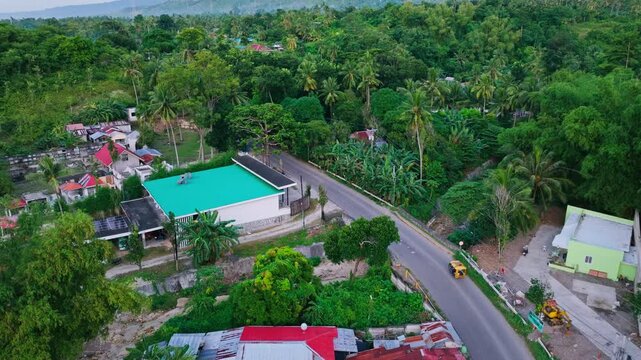 Yellow tricycle travels past lush palms in Lower Anongan, Cebu, Philippines