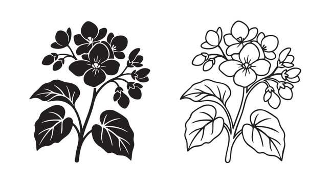 begonia flower cluster vector icon set featuring botanical