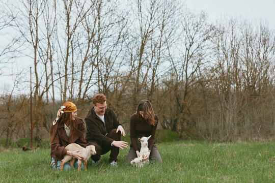 Group of people interacts with playful goat kids in a sunny meadow, enjoying a rural lifestyle. A tender moment of connection, learning about animals and farm life, with relaxed natural light