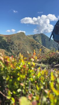 Female hiker with trekking poles walking along mountain trail in Mala Fatra with Maly Krivan peak background and wild blueberry bushes foreground, active outdoor Slovakia trekking, vertical 9:16 frami