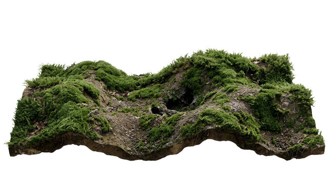 Ein isoliertes St&uuml;ck Waldboden mit nat&uuml;rlichem Moosbewuchs auf dunkler Erde, pr&auml;sentiert als dreidimensionales Gel&auml;ndest&uuml;ck vor einem rein wei&szlig;en Hintergrund f&uuml;r kreative Designprojekte und
