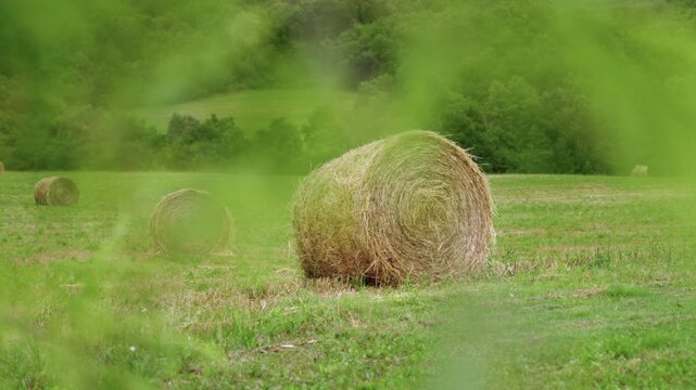 Round Hay Bales in a Green Field With Tree-Covered Hills and Peaceful Countryside Landscape in Amelia, Umbria, Italy