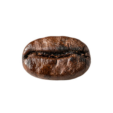 Um &uacute;nico gr&atilde;o de caf&eacute; torrado de alta qualidade isolado em fundo branco, exibindo textura detalhada, cor marrom escura intensa e sulco central caracter&iacute;stico, ideal para publicidade de cafeteria.