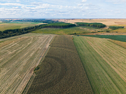 Aerial view of a maize field during harvest with agricultural machinery working in rows, surrounded by farmland and trees under a bright sky in Villamayor, Castile and Leon, Spain.
