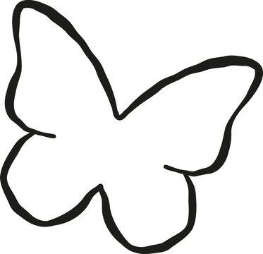 Simple Hand drawn Butterfly Illustration