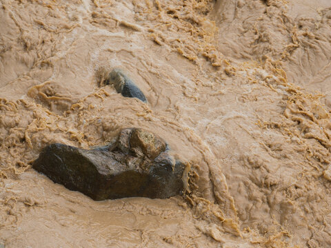 Natural hazards during the rainy season river surges and mudslides rapidly flowing muddy brown water rushes past dark scattered rocks weeds and trees within the stream or river.