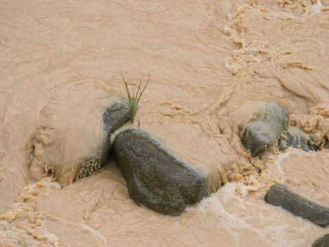 Natural hazards during the rainy season river surges and mudslides rapidly flowing muddy brown water rushes past dark scattered rocks weeds and trees within the stream or river.