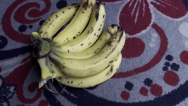 Bangladeshi Sagar variety ripe and delicious sweet banana