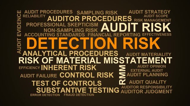 Detection Risk Word Cloud