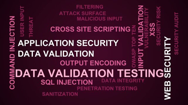 Data Validation Testing Word Cloud