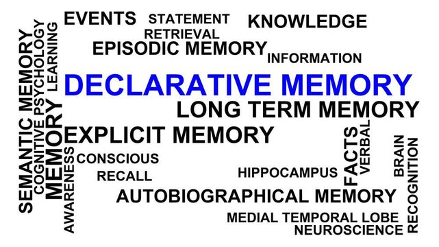 Declarative Memory Word Cloud