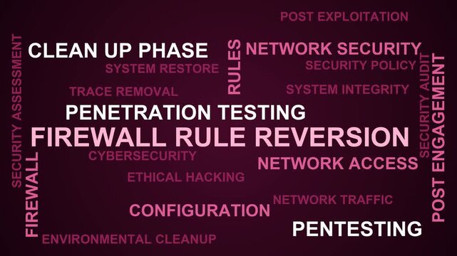 Firewall Rule Reversion Word Cloud