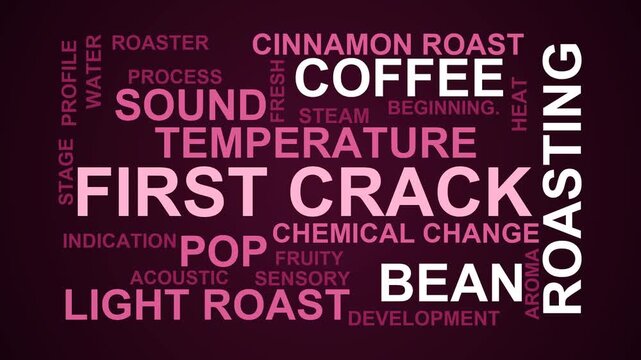 First Crack Word Cloud
