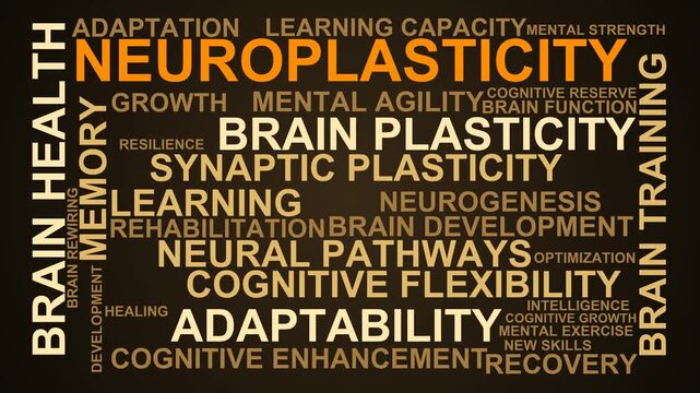 Neuroplasticity Word Cloud