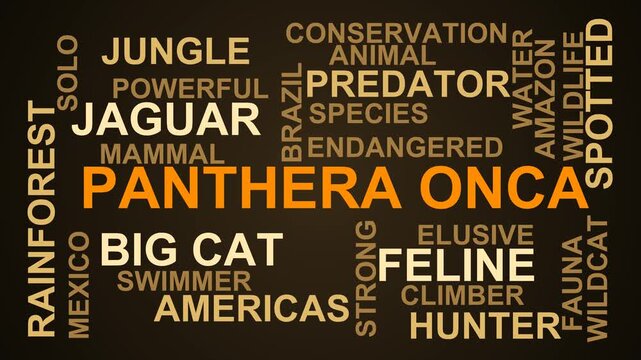 Panthera Onca Word Cloud
