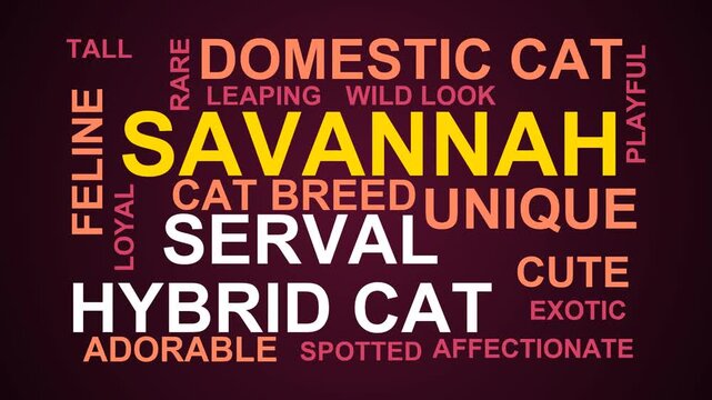 Savannah Word Cloud