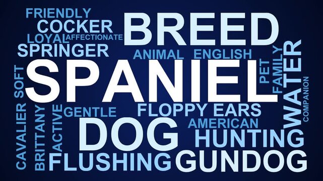 Spaniel Word Cloud