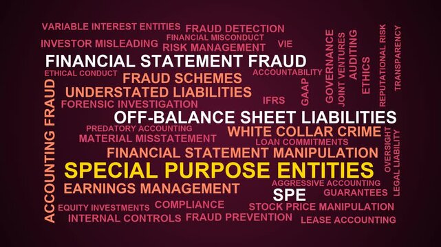 Special Purpose Entities Word Cloud
