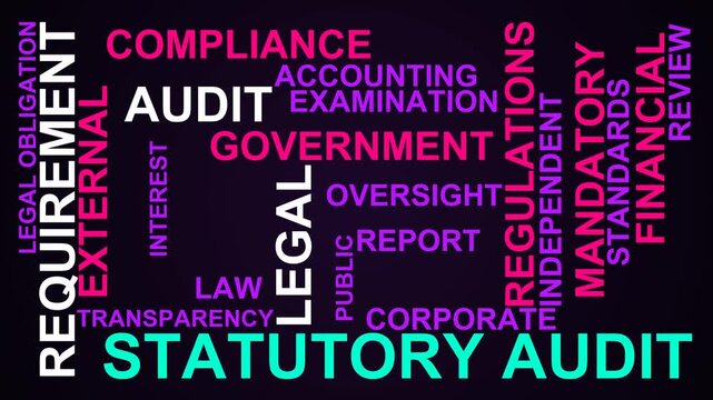 Statutory Audit Word Cloud