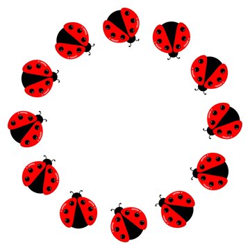 Ladybug circle border. Circle frame with ladybug. Round laddybird frame. Round border with red bettle. Summer or spring decoration