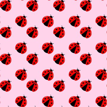 Ladybug seamless pattern background. Ladybug doodle background. Red beetle cartoon background. Ladybug repeat pattern. Summer decorative background