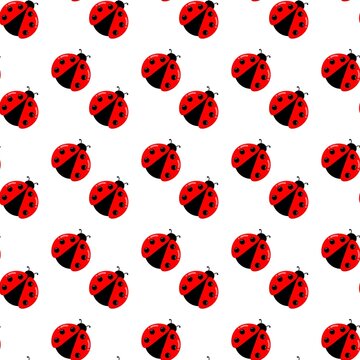 Ladybug seamless pattern background. Ladybug doodle background. Red beetle cartoon background. Ladybug repeat pattern. Summer decorative background