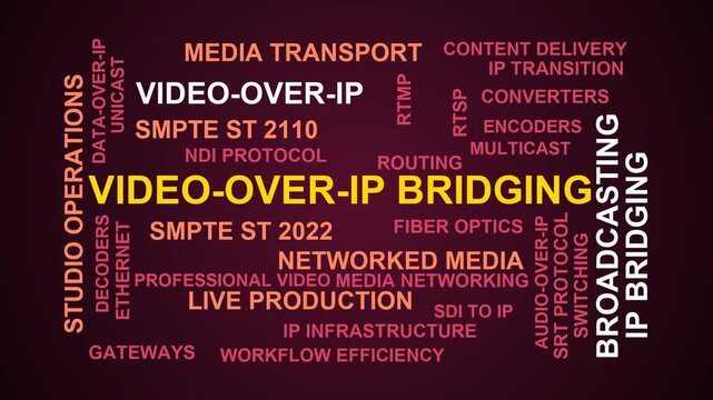Video-Over-Ip Bridging Word Cloud