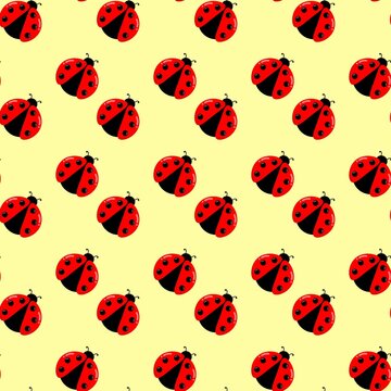 Ladybug seamless pattern background. Ladybug doodle background. Red beetle cartoon background. Ladybug repeat pattern. Summer decorative background
