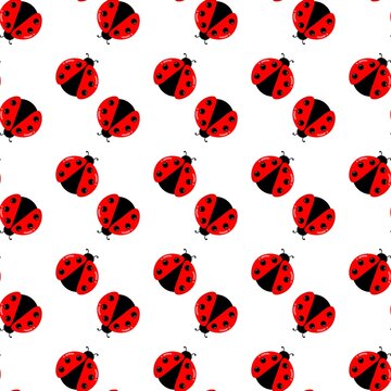 Ladybug seamless pattern background. Ladybug doodle background. Red beetle cartoon background. Ladybug repeat pattern. Summer decorative background