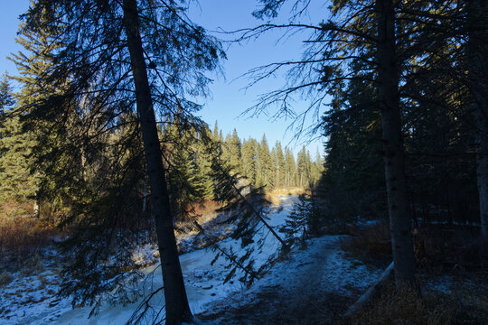 Whitemud Park in the Winter Season