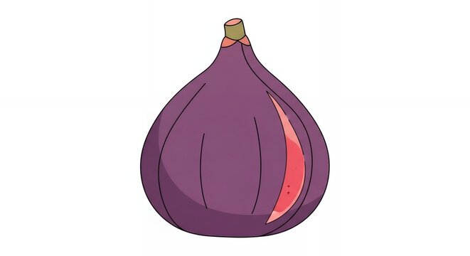 Fresh Purple Fig Fruit Illustration Isolated on White Background for Healthy Organic Food Concept Designs