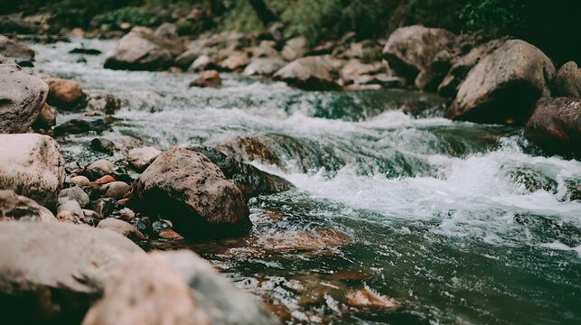 Clear mountain river flowing rapidly over textured stones in a lush forest landscape environment