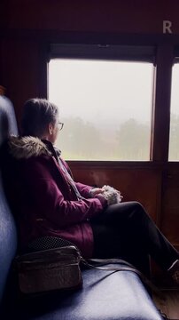 Vertical. Pensive woman lulled by train ride as she watches passing countryside
