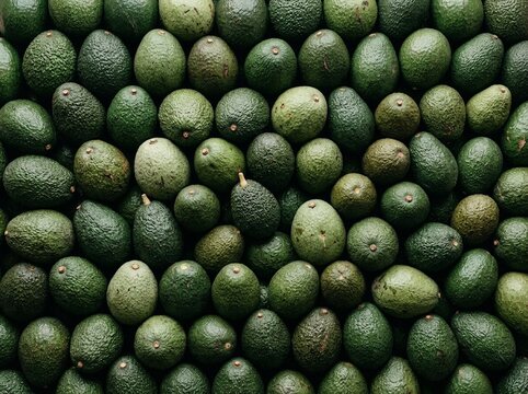 Avocados