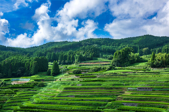 福岡県　星野村　鹿里地域の棚田