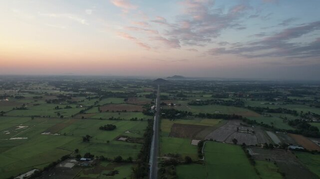 チャイナットの田園風景の空撮　ชัยนาท　Rice feild, Chai Nat　Drone Shooting