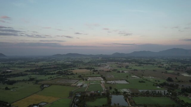 チャイナットの田園風景の空撮　ชัยนาท　Rice feild, Chai Nat　Drone Shooting