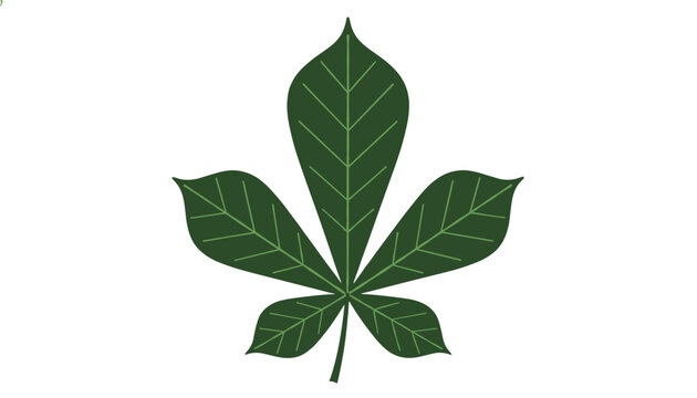 Detailed green horse chestnut leaf with five leaflets and light green veins isolated on a white background.