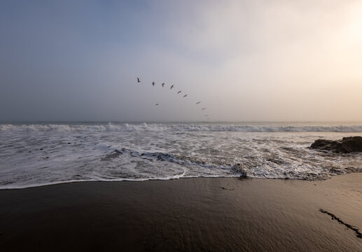 Flock of pelicans flying over ocean waves in curved formation at San Simeon Creek Beach in Cambria California USA in August 2026