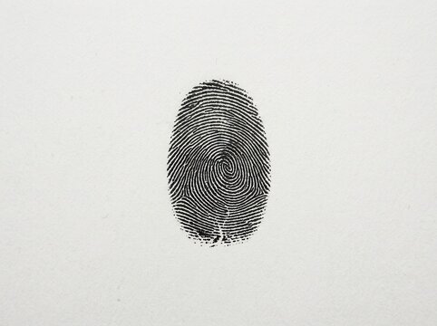 Unique Fingerprint Identity Verification Concept