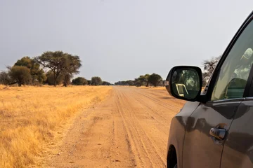 Modern SUV car parked on a dirt road in the African savanna with a focus on the side mirror. Luxury 4x4 off-road vehicle on a safari trip adventure. Empty gravel highway running through a landscape. © Yuliia Lakeienko