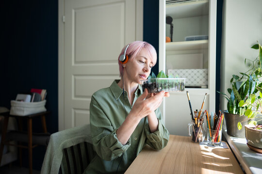 Pink haired woman wearing headphones examines zamioculcas cuttings at sunny home workspace, practicing indoor gardening, plant propagation and mindful nurturing while listening to relaxing audio.