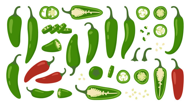 Set of fresh green and red jalapeno peppers, whole and sliced chili collection for spicy cooking, healthy vegetable ingredients, food menu elements