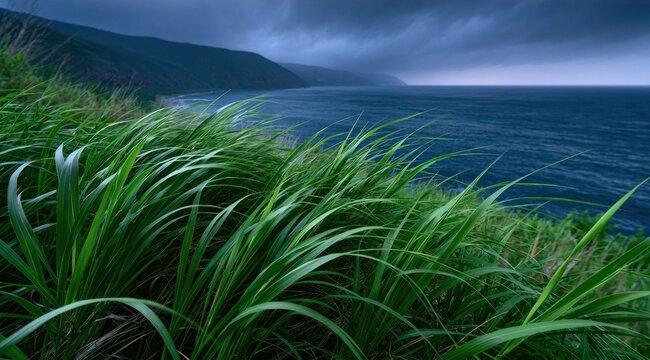 Coastal cliffside with lush green grass overlooking a moody blue sea under overcast skies