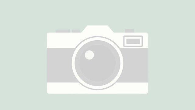 Flat illustration of a retro photo camera motion graphics on a green background loop