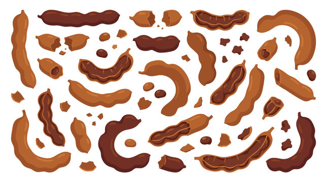 Set of tamarind pods and seeds in flat style, organic tropical fruit, healthy snacks, cooking ingredients, food pattern, rustic brown textures