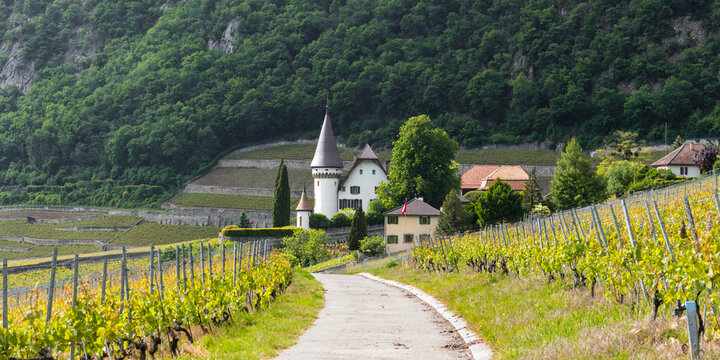 Aigle Castle overlooking Swiss vineyards with Alps background
