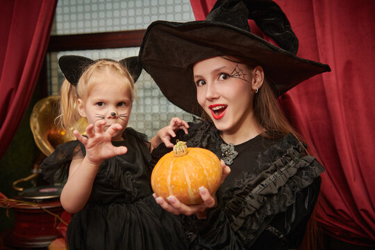 Witch Cat Halloween