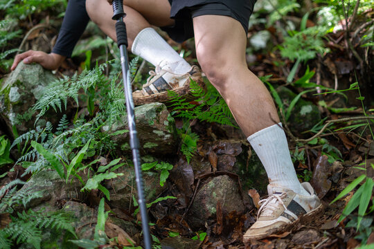 Close Up of Hiker Walking on Rocky Forest Trail with Trekking Pole